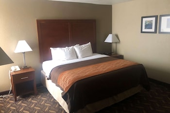 Studio Suite, 1 King Bed, Non Smoking