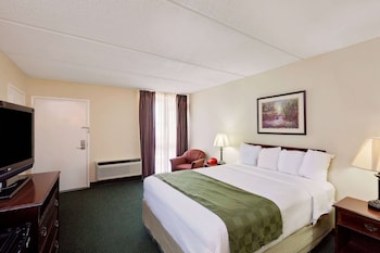Room, 1 Queen Bed, Non Smoking