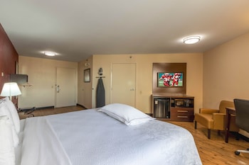 Premium Room, 1 King Bed, Accessible (Upgraded Bedding & Snack, Smoke Free)