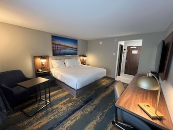 Standard Room, 1 King Bed, Non Smoking