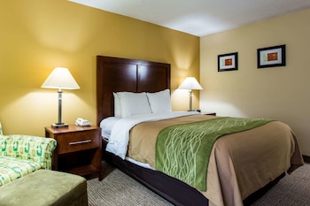 Standard Room, 1 King Bed, Non Smoking
