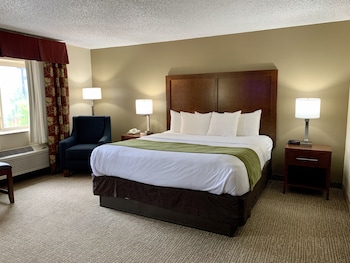 Room, 1 King Bed, Accessible, Non Smoking