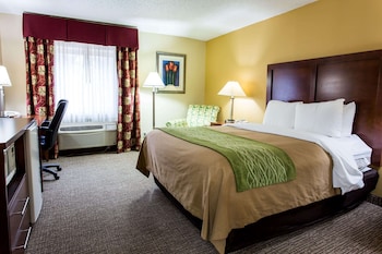 Room, 1 King Bed, Accessible, Non Smoking