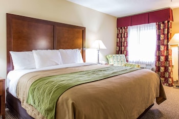 Standard Room, 1 King Bed, Non Smoking