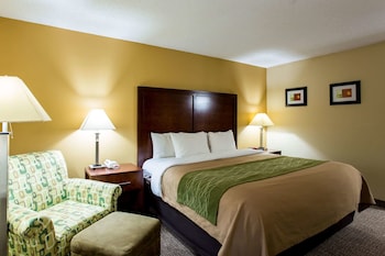 Standard Room, 1 King Bed, Non Smoking