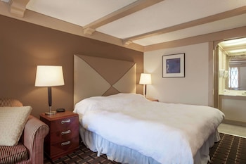 Room, 1 King Bed, Smoking
