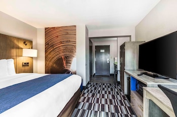 Room, 1 King Bed, Accessible, Non Smoking