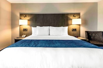 Standard Room, 1 King Bed, Non Smoking