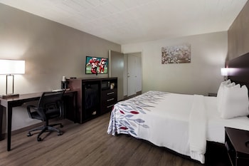 Superior Room, 1 King Bed, Non Smoking, Kitchenette