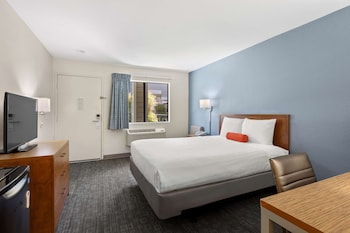 One Queen Bed