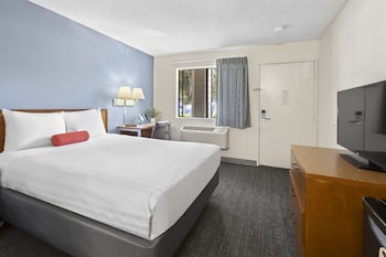 One Queen Bed