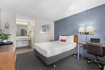 One Queen Bed