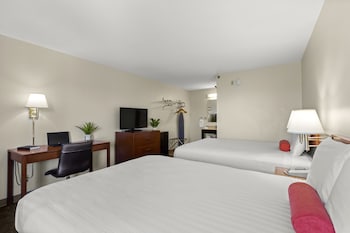 Room, 2 Queen Beds