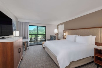 Room, 1 King Bed, Mountain View