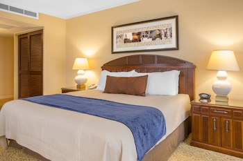 Suite, 1 Bedroom (1 King Bed)