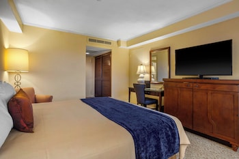 Suite, 1 Bedroom (1 King Bed)
