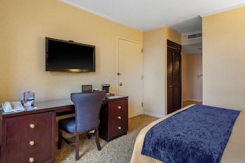 Suite, 1 Bedroom (1 King Bed)