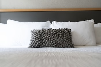 Standard Room, 1 King Bed, Accessible (Roll-In Shower, Smoke Free)