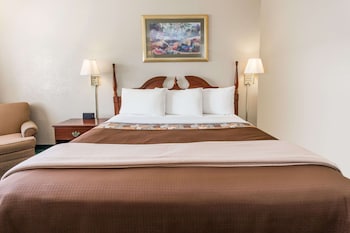 Room, 1 King Bed