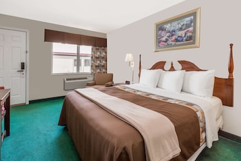 Room, 1 King Bed