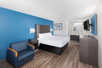Room, 1 King Bed, Non Smoking
