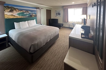 Standard Room, 1 King Bed, Non Smoking