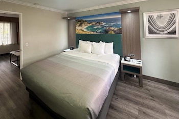 Suite, 1 King Bed with Sofa Bed, Non Smoking