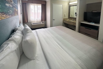 Suite, 1 King Bed with Sofa Bed, Non Smoking