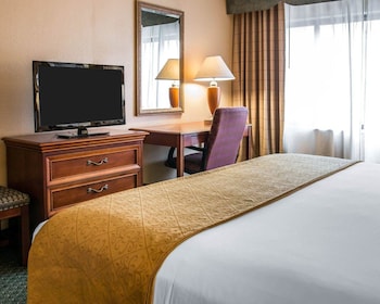 Standard Room, 1 King Bed, Non Smoking