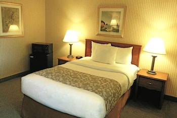 Room, 1 Double Bed, Accessible, Non Smoking (Mobility Accessible)