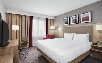 Room, 1 King Bed
