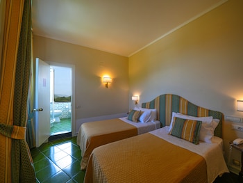 Standard Double Room, 1 Double or 2 Twin Beds