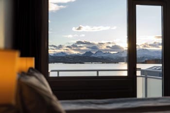 Room, 1 King Bed