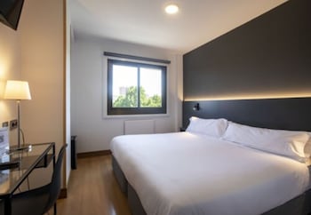 Business Double Room Single Use