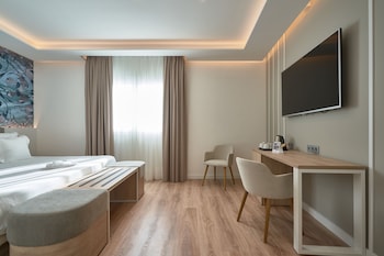 Standard Double Room Single Use