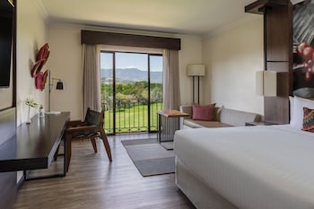Room, 1 King Bed