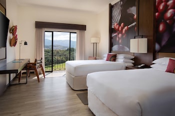 Executive Room, 2 Double Beds