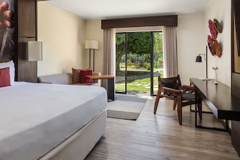 Room, 1 King Bed