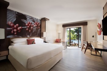 Room, 1 King Bed, Pool Access