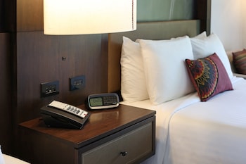 Room, 1 King Bed