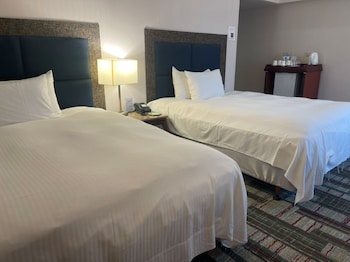 Executive Twin Room, 2 Double Beds