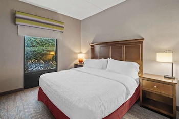 Suite, 1 King Bed, Accessible, Non Smoking