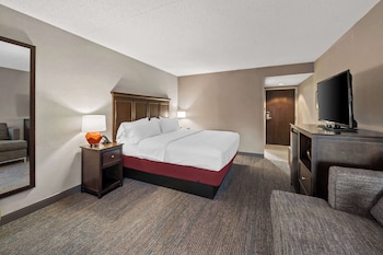 Room, 1 King Bed, Accessible, Non Smoking