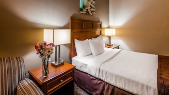 Standard Room, 1 Double Bed, Accessible, Non Smoking (Walk-in Shower)