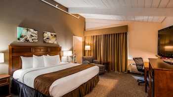 Standard Room, 1 King Bed, Non Smoking, Refrigerator