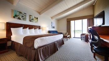 Standard Room, 1 King Bed, Non Smoking, Refrigerator (with Sofabed)