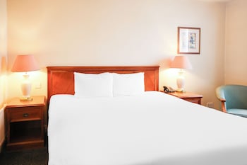 Deluxe Double or Twin Room, 1 Double Bed