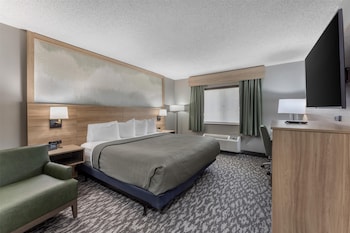 Standard Room, 1 King Bed, Accessible, Refrigerator & Microwave (Walk-in Shower)
