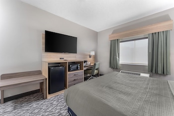 Standard Room, 1 King Bed, Accessible, Refrigerator & Microwave