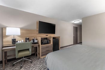 Standard Room, 1 King Bed, Accessible, Refrigerator & Microwave (Walk-in Shower)
